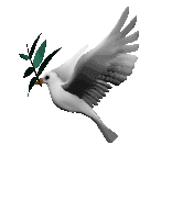 Dove of peace
